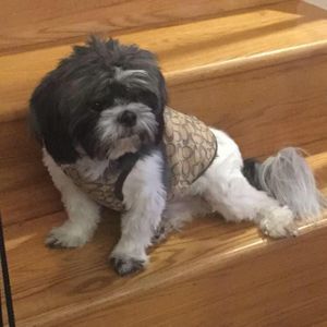 Meet your Posher, Chi